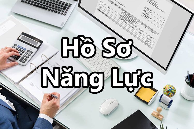 ho-so-nang-luc